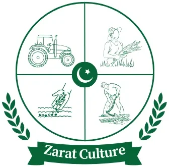 zaratculture.com-logo