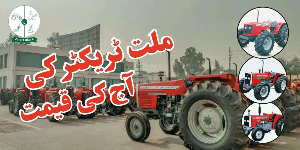 Millat Tractor Prices Today