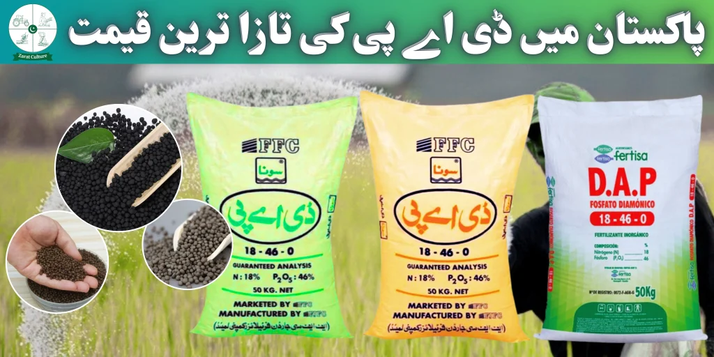 DAP Fertilizer Price in Pakistan