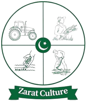 zaratculture.com